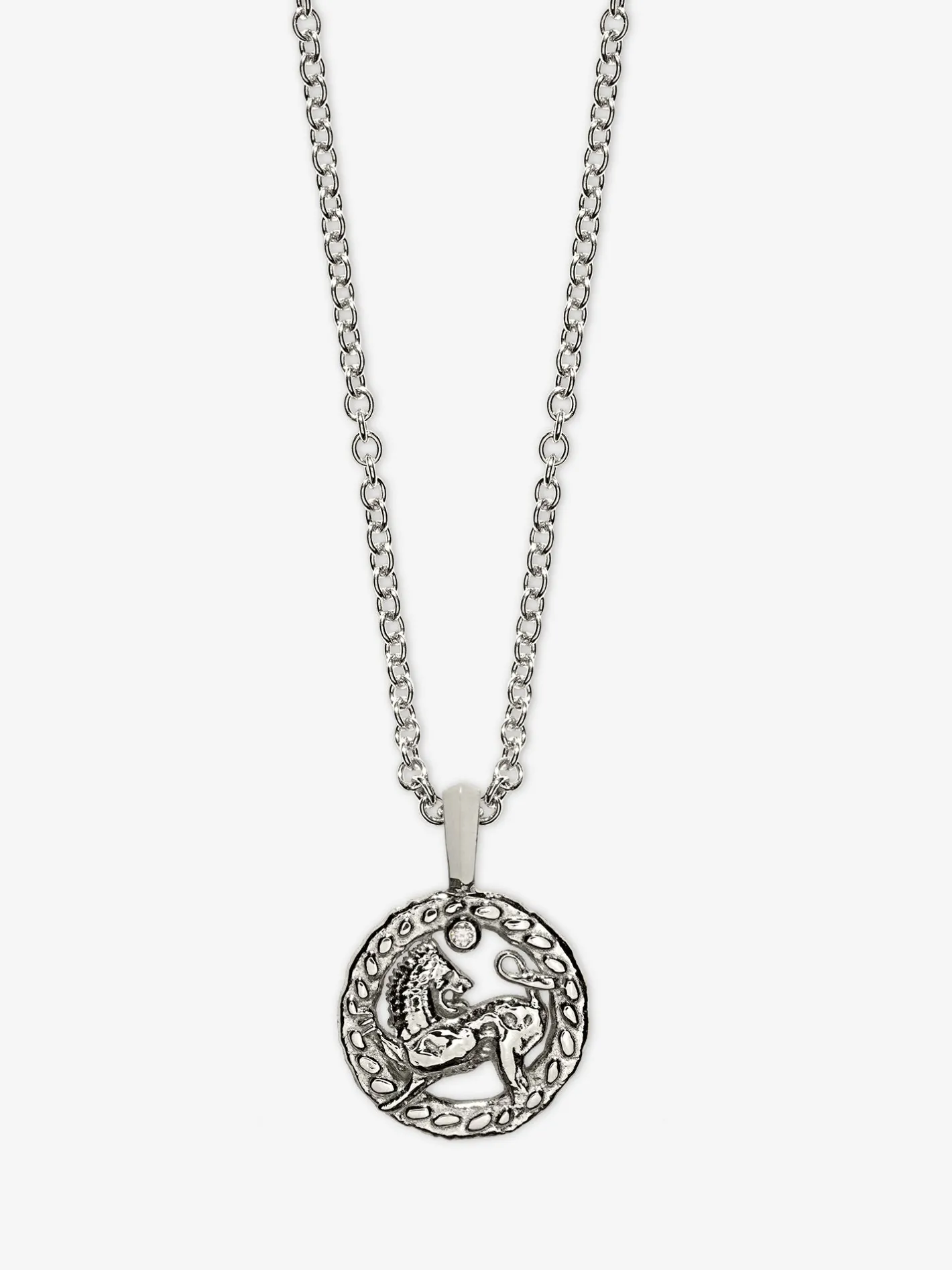 Petite Lion Coin Necklace<AZLEE Jewelry Clearance